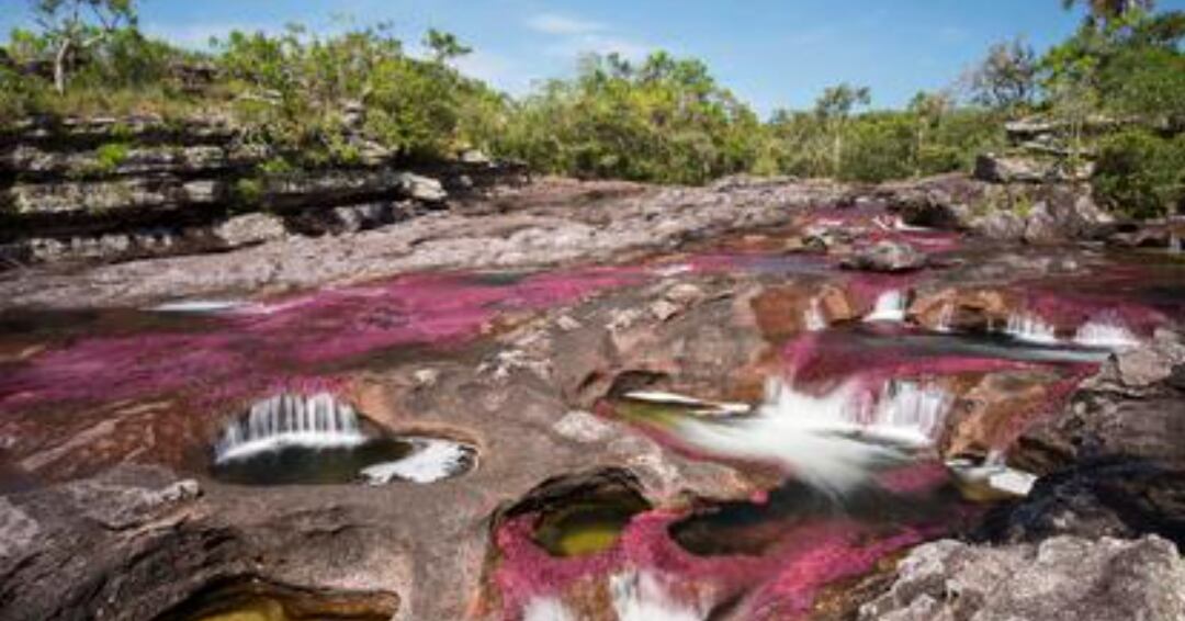 Caño Cristales