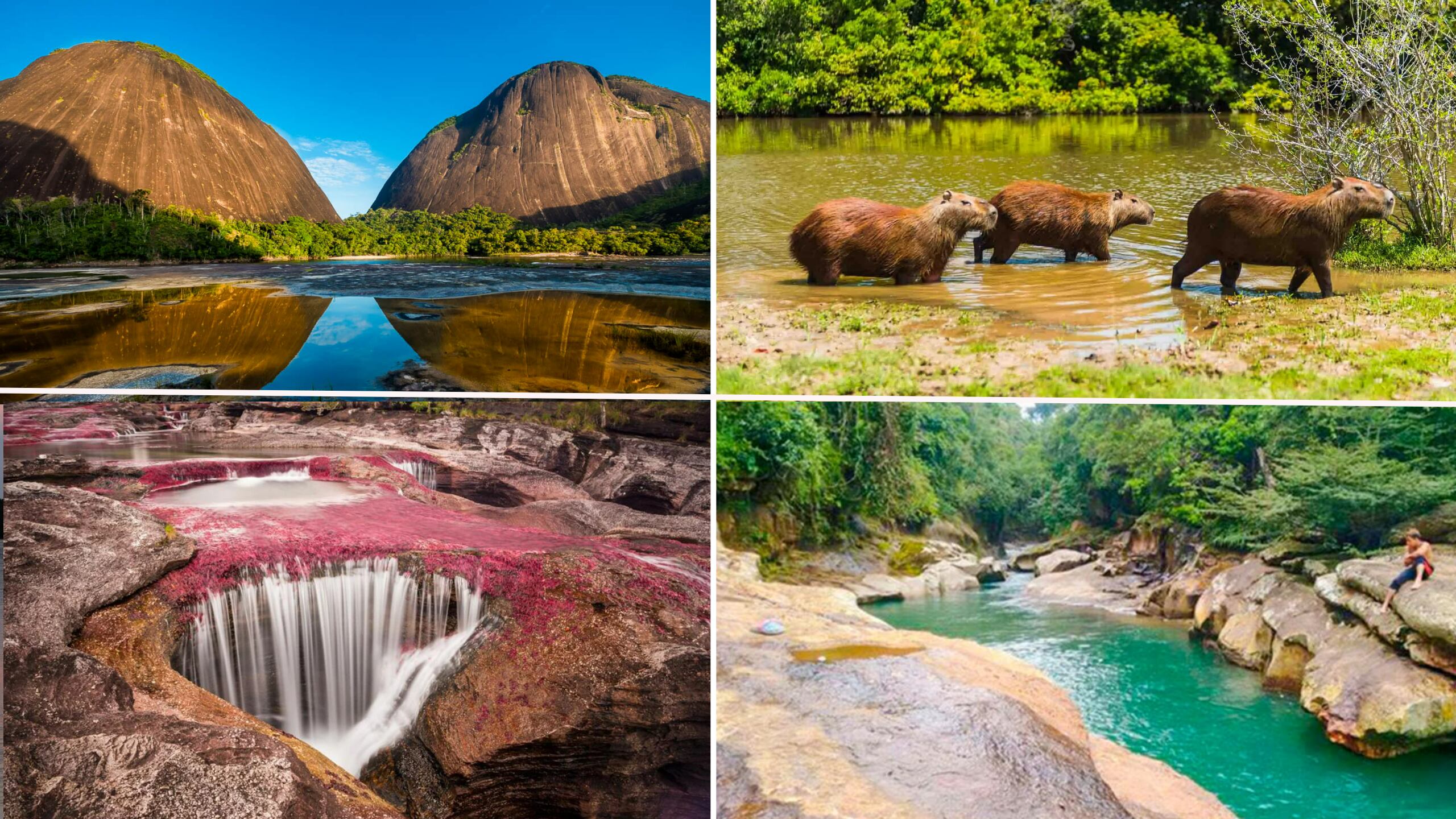 Llanos orientales de Colombia