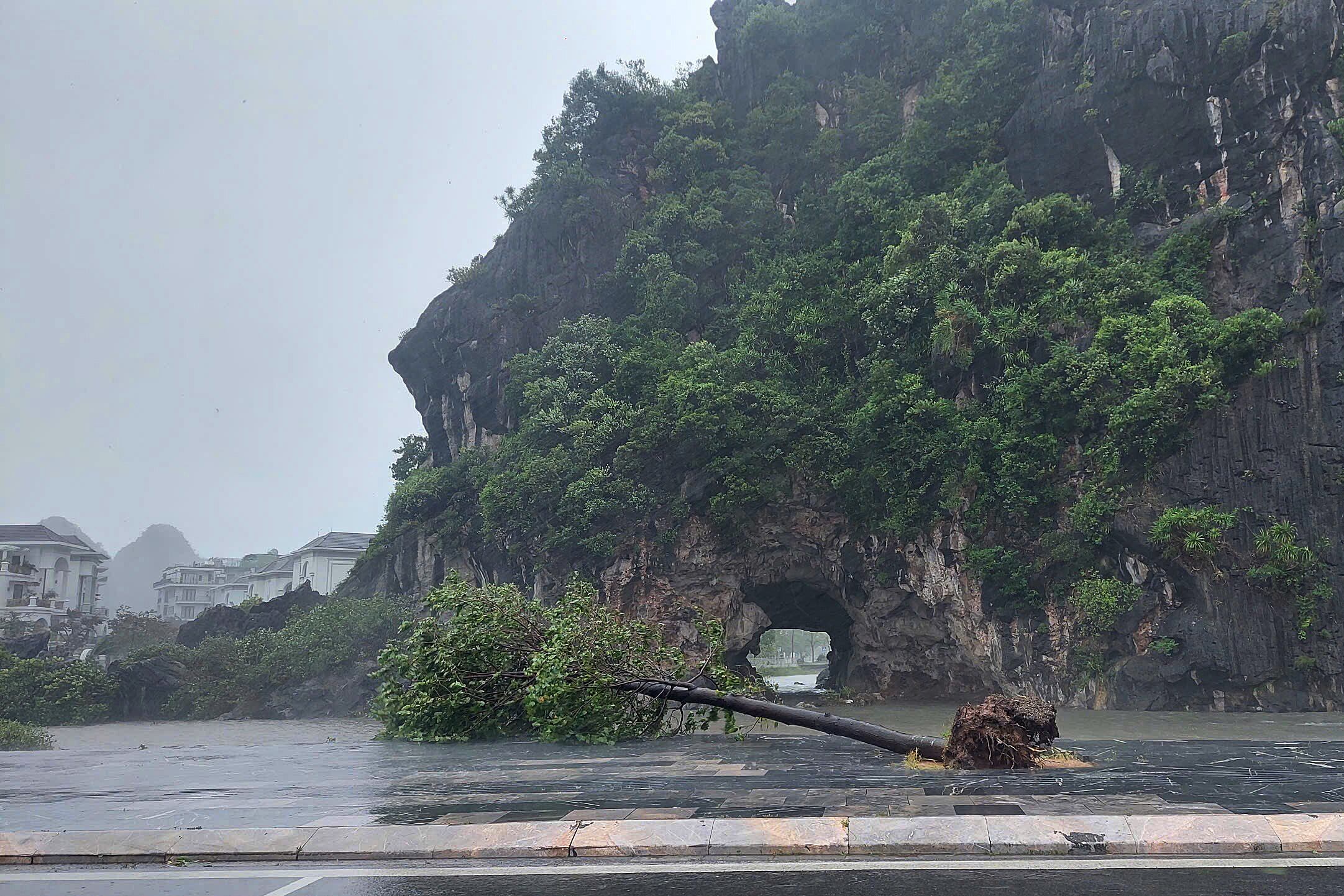 Daños provocados por el tifón Yagi a su paso por Vietnam. EFE/EPA/VIETNAM 