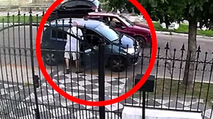 Video: el asalto a una jubilada en Luis Guillón que reveló un cementerio de autos robados