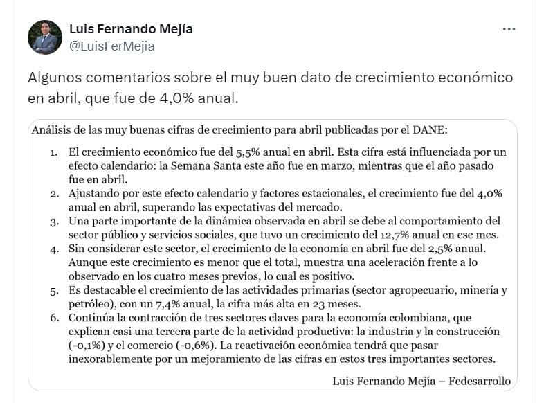 Luis Fernando Mejía, director ejecutivo de Fedesarrollo, lamentó que hay sectores de la economía que aún siguen contraídos - crédito @LuisFerMejia/X