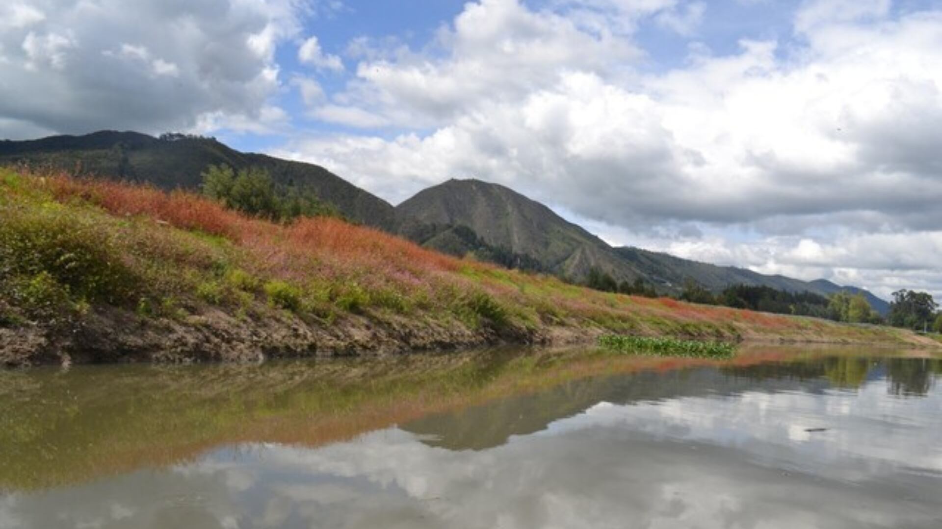 Preocupante estado de los embalses en Colombia: tienen los niveles más bajos en 20 años