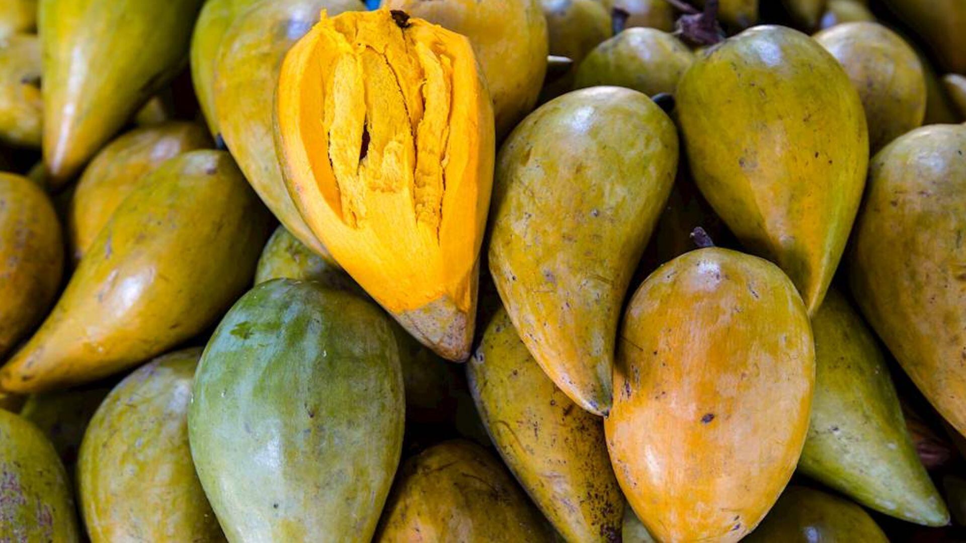 Lúcuma es una de las frutas más valoradas del planeta tras encuesta|  Taste Atlas