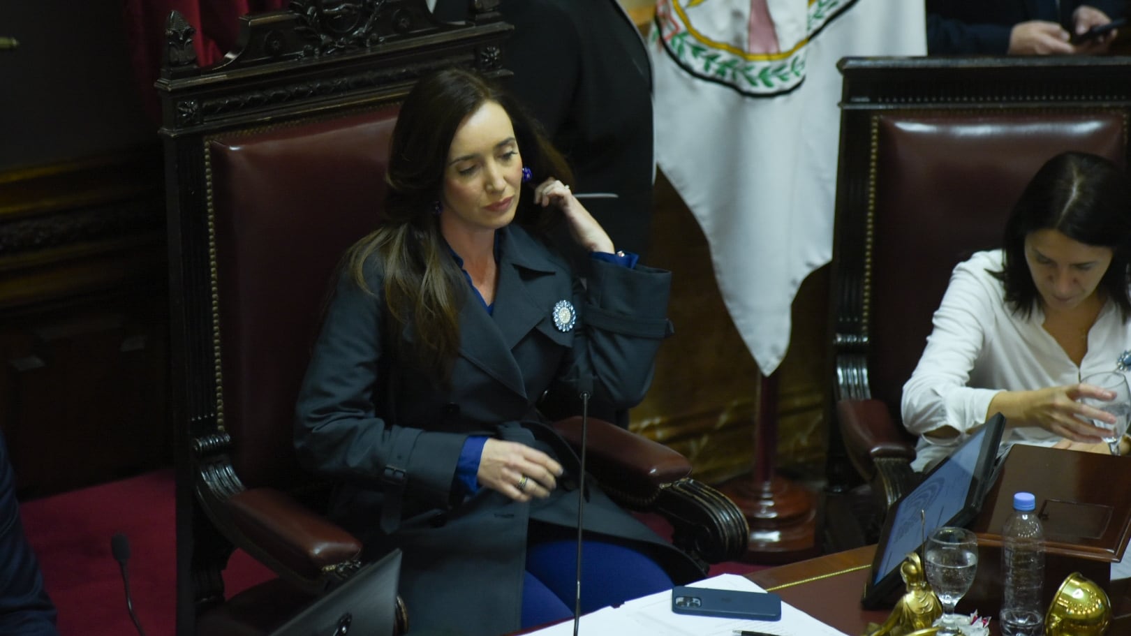 Debate Ley Bases en el Senado - 12.06.2024 - Victoria Villarruel