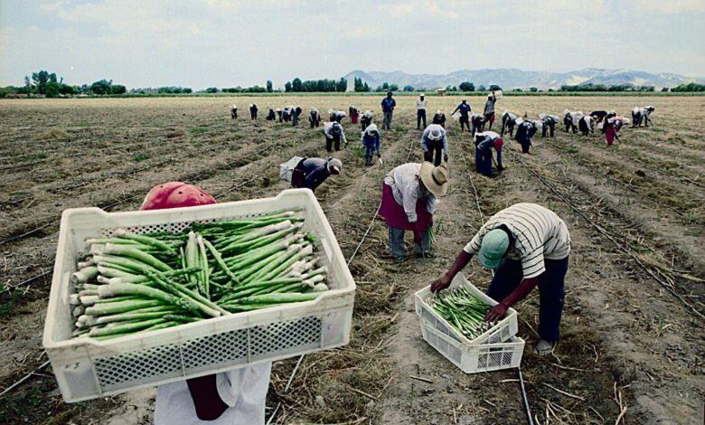 Agricultores en el Perú