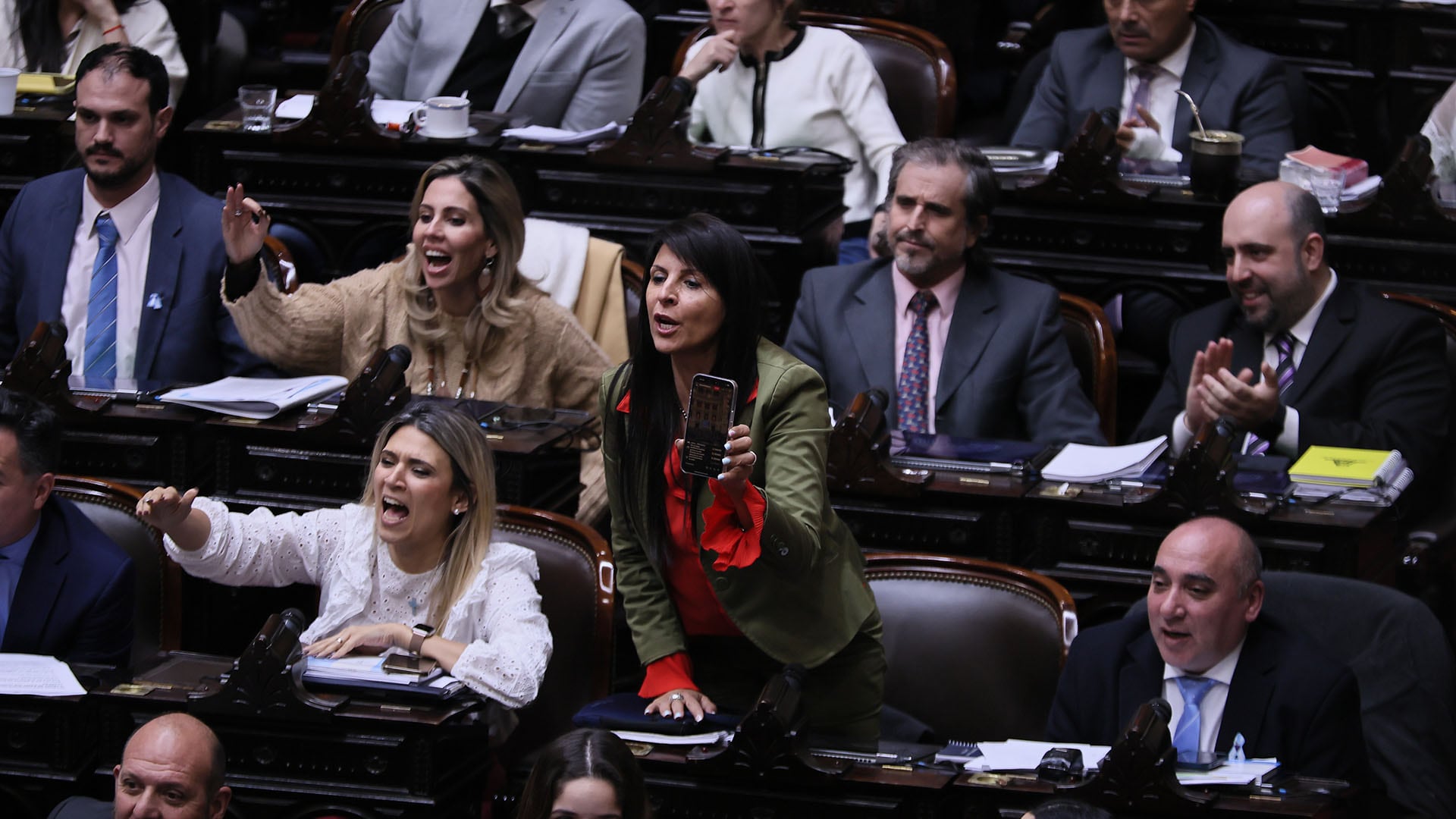 Ley bases en diputados - 27.06.2024 - Recinto