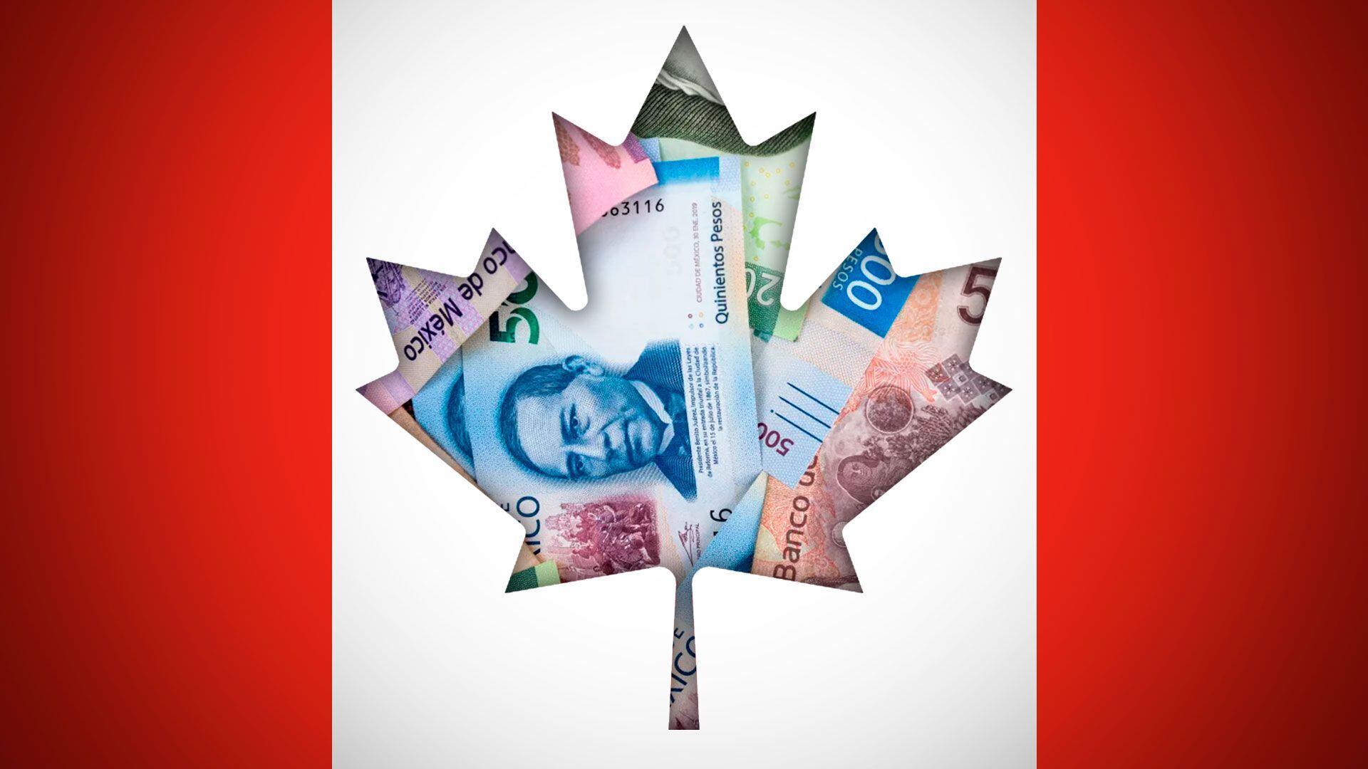 Estos son los cambios en el valor del dólar canadiense en México de hoy (Jovani Pérez/Infobae)