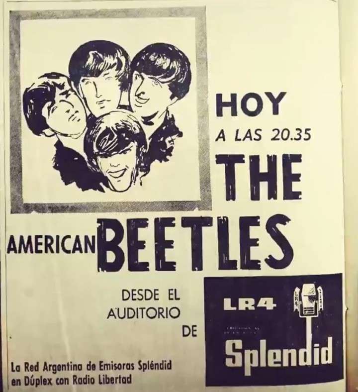 The American Beetles