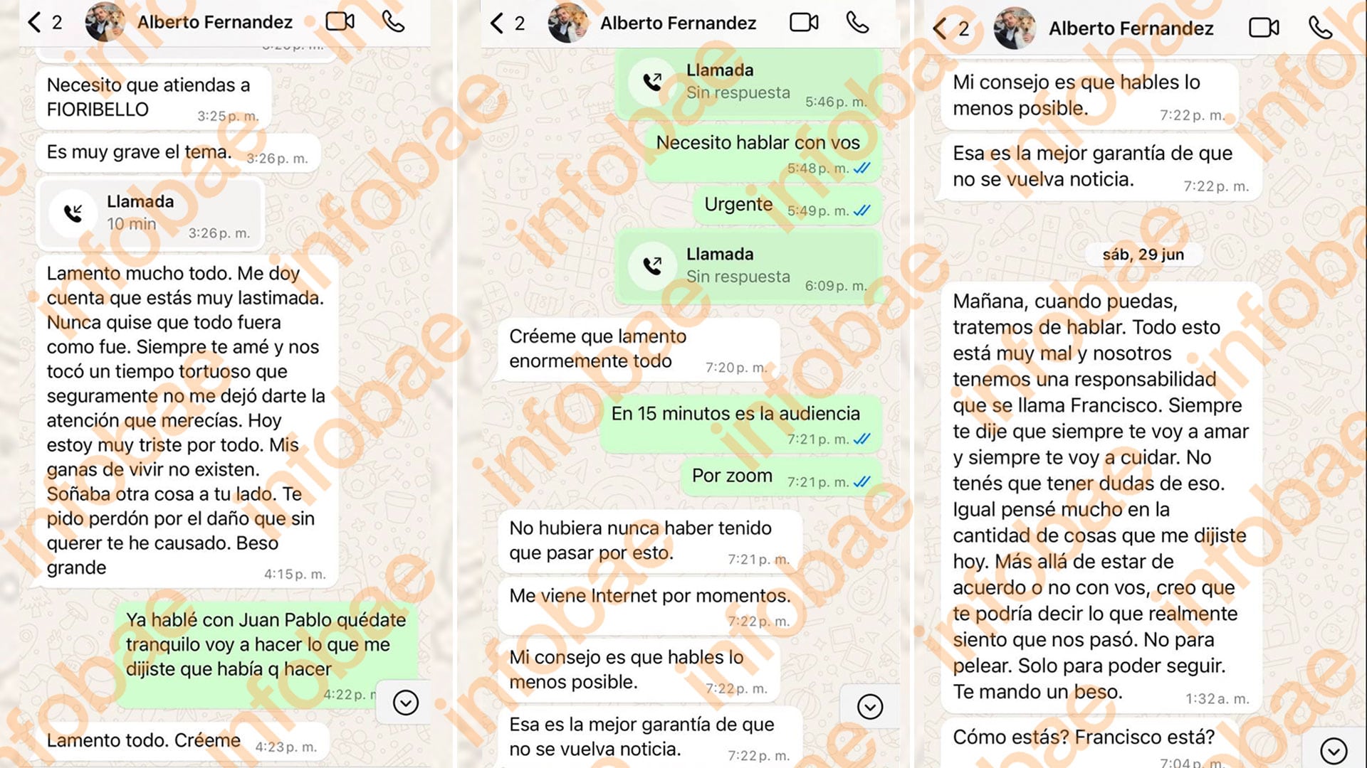 Chats Alberto Fernández Fabiola Yañez denuncia violencia de género