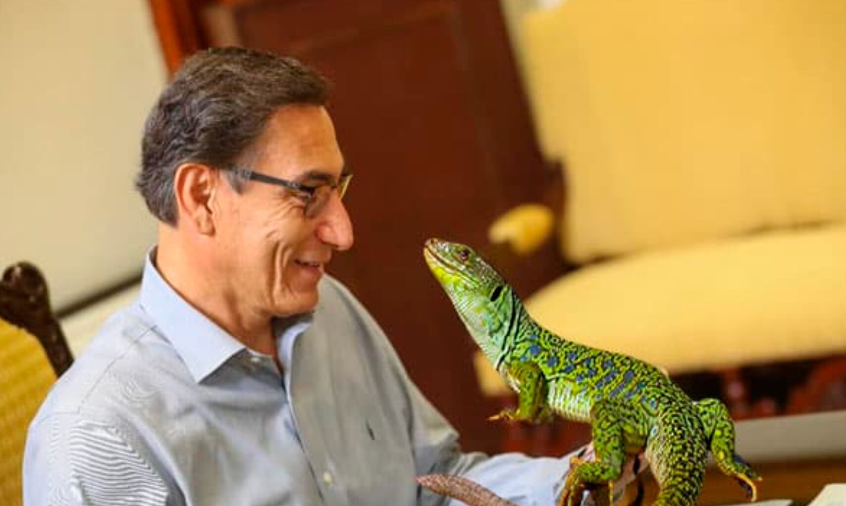 Martín Vizcarra venderá peluches de lagarto para financiar su partido político.