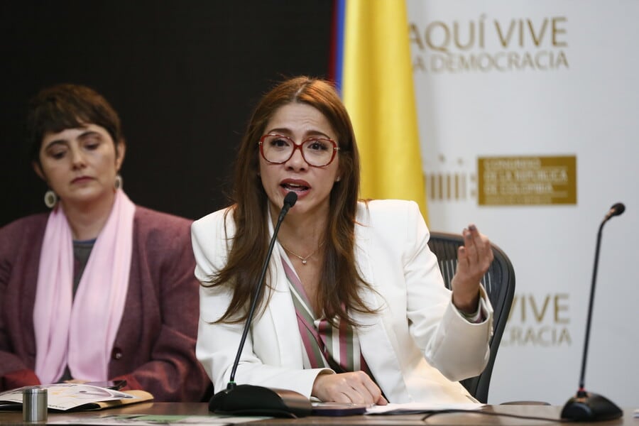 Representante Catherine Juviano habla al público