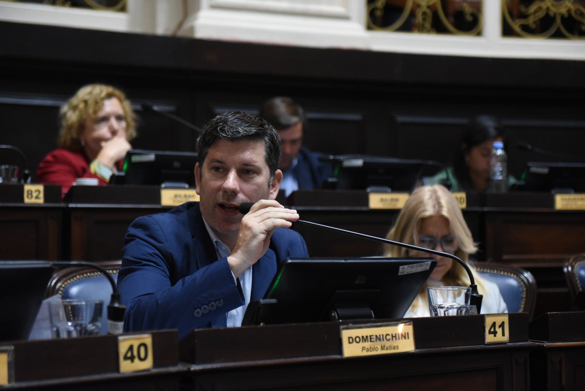 Pablo Domenichini es diputado provincial por Evolución y rector de la Universidad Nacional Guillermo Brown. Será el candidato que presentarán Martín Lousteau y Facundo Manes para pelear la interna por el Comité de la UCR bonaerense 