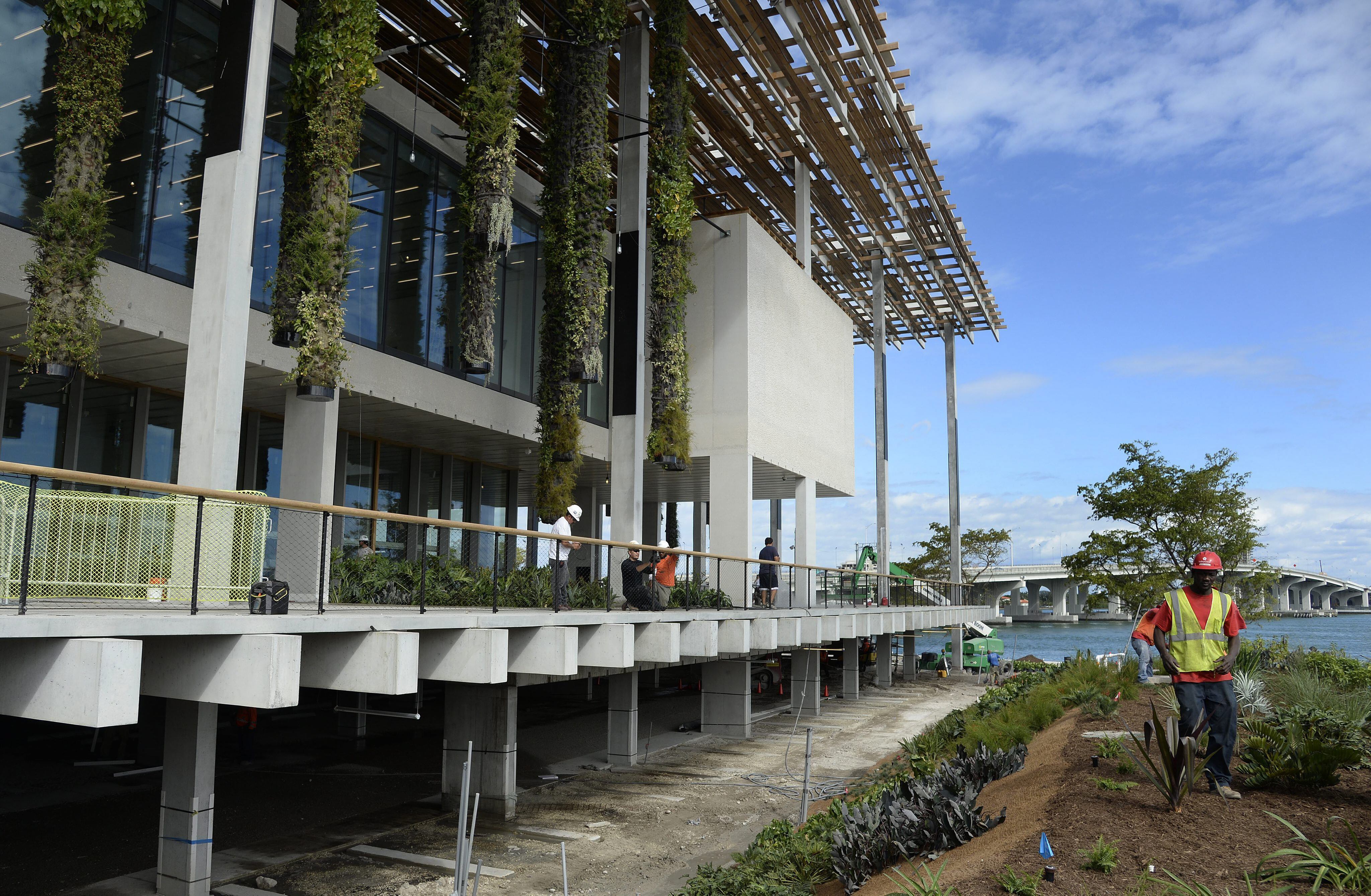 Casi dos millones de personas trabajan al aire libre en la construcción y agricultura en Florida. (EFE/RHONA WISE) 