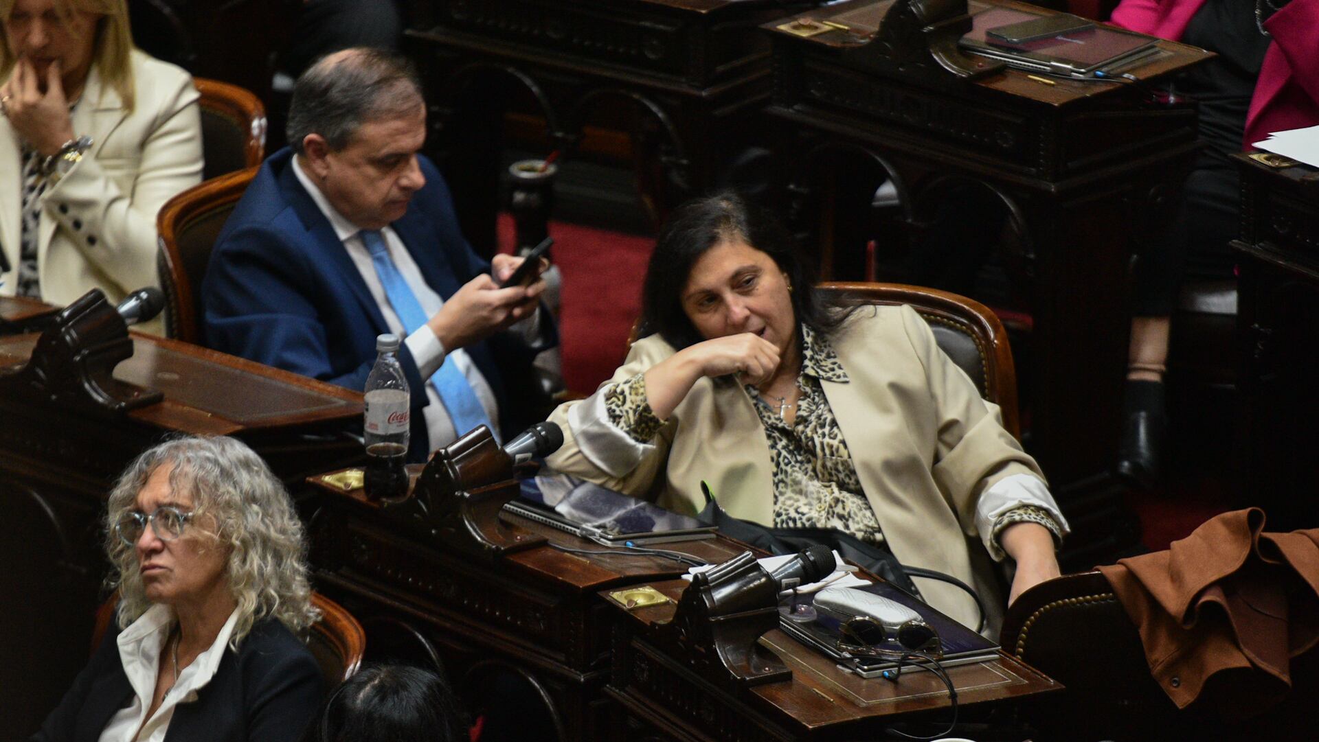 Debate en Diputados por el veto de Javier Milei a la reforma jubilatoria