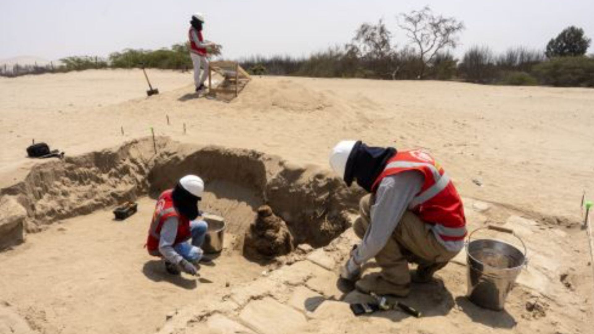 arqueología