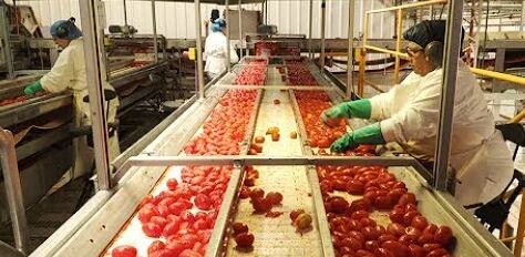 industria argentina produciendo alimentos