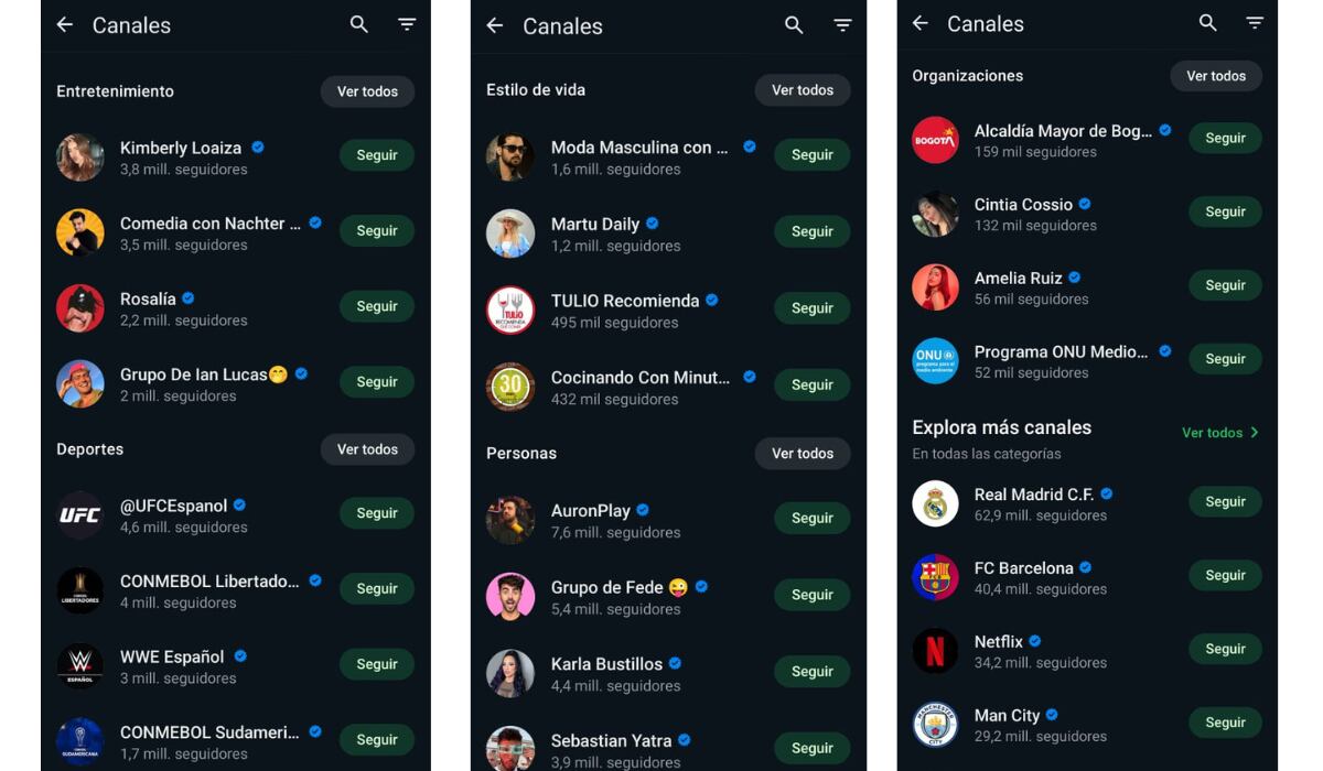 WhatsApp habilitó varias categorías para los canales. (WhatsApp)