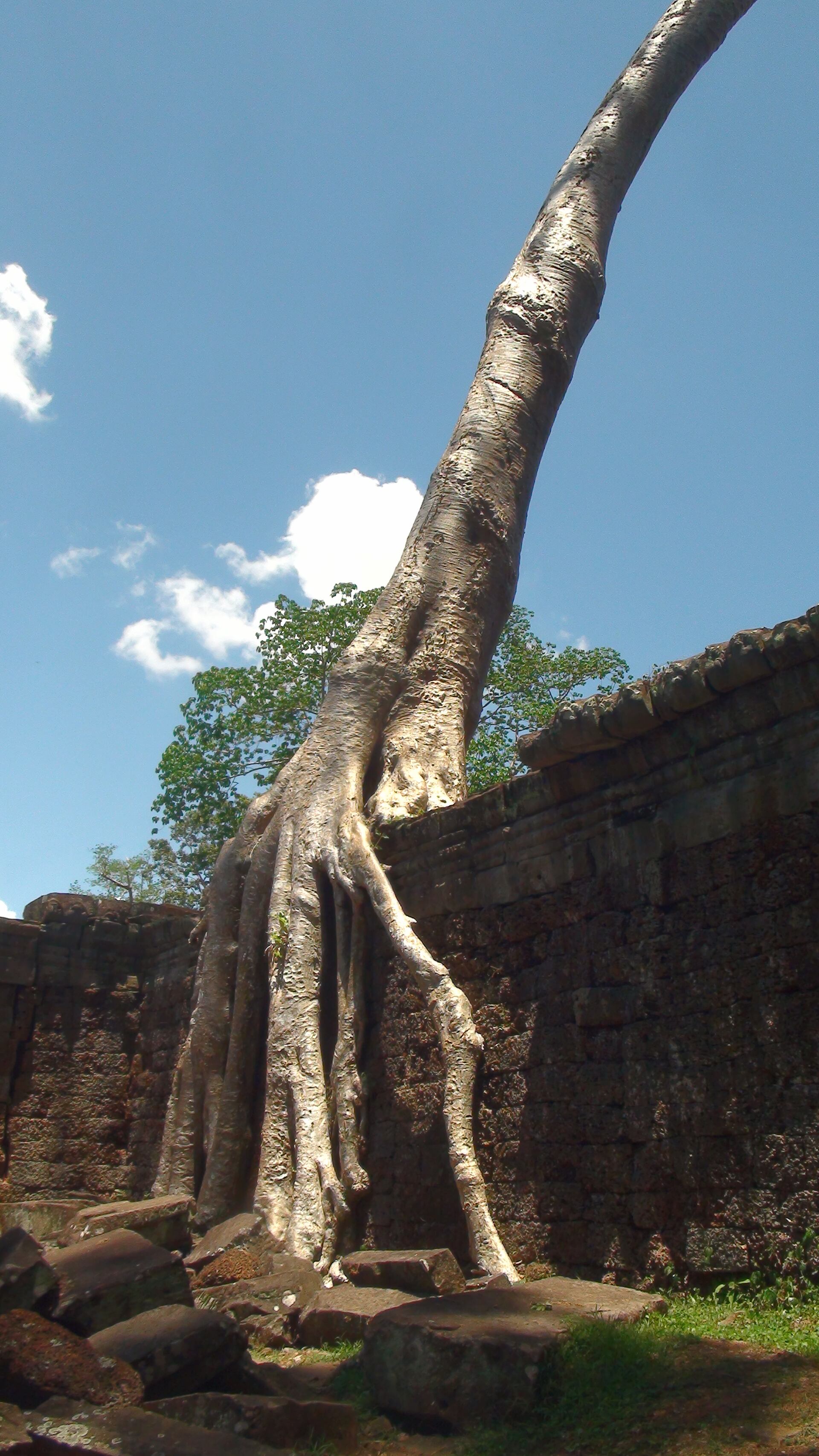 Angkor Wat, Camboya