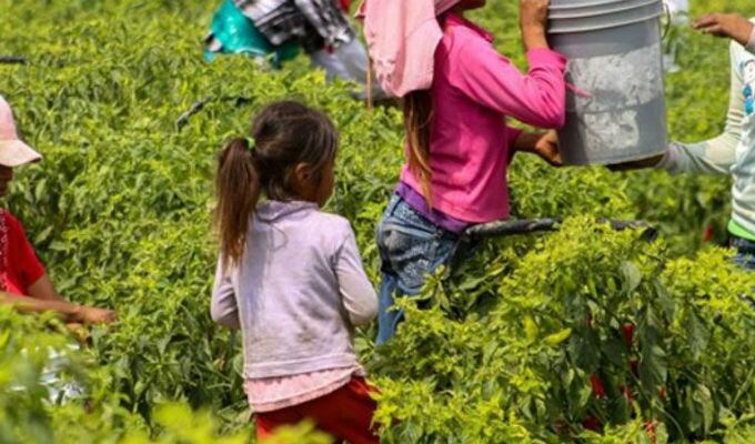 Día Internacional contra el Trabajo Infantil