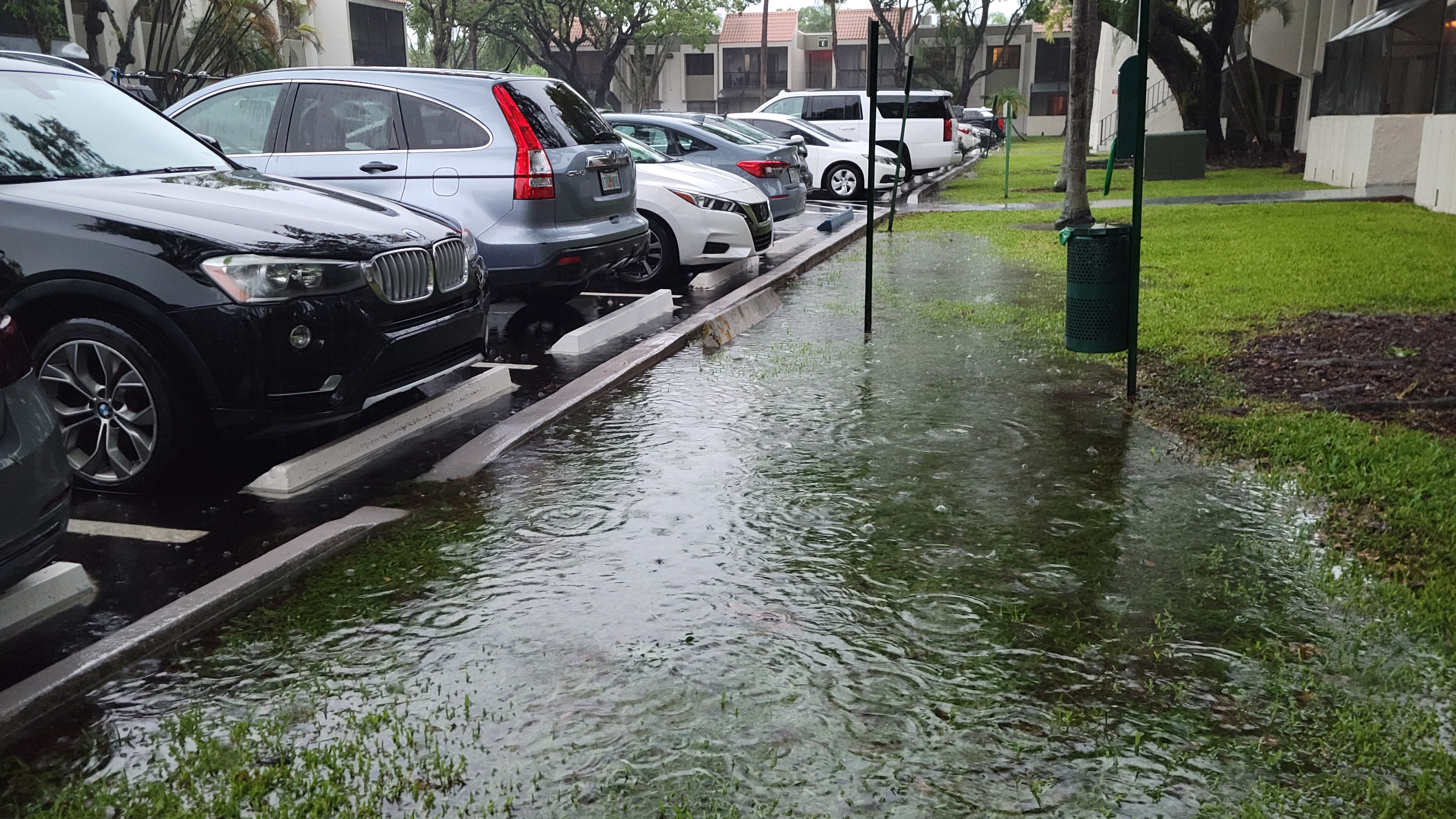 Miami enfrenta fuertes tormentas y niebla desde el 12 de junio de 2024
(EFE/Latif Kassidi)