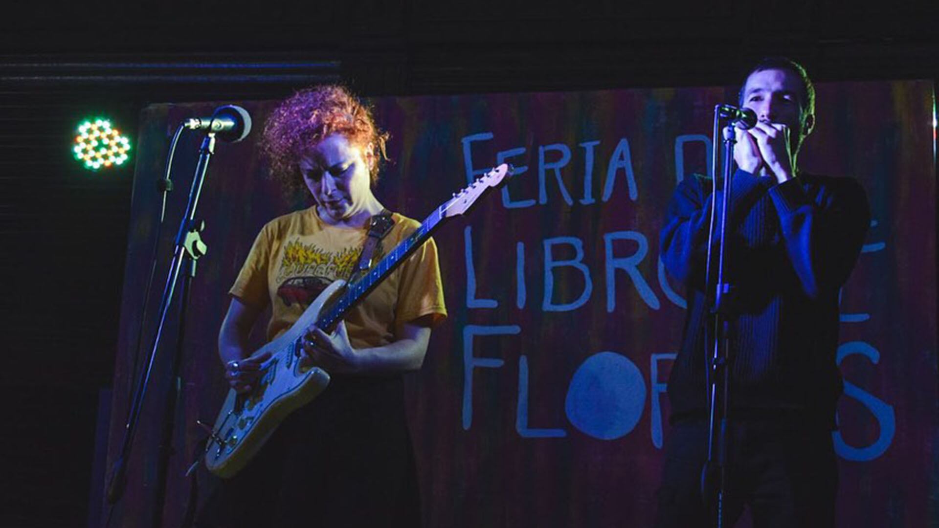 Feria del Libro de Flores