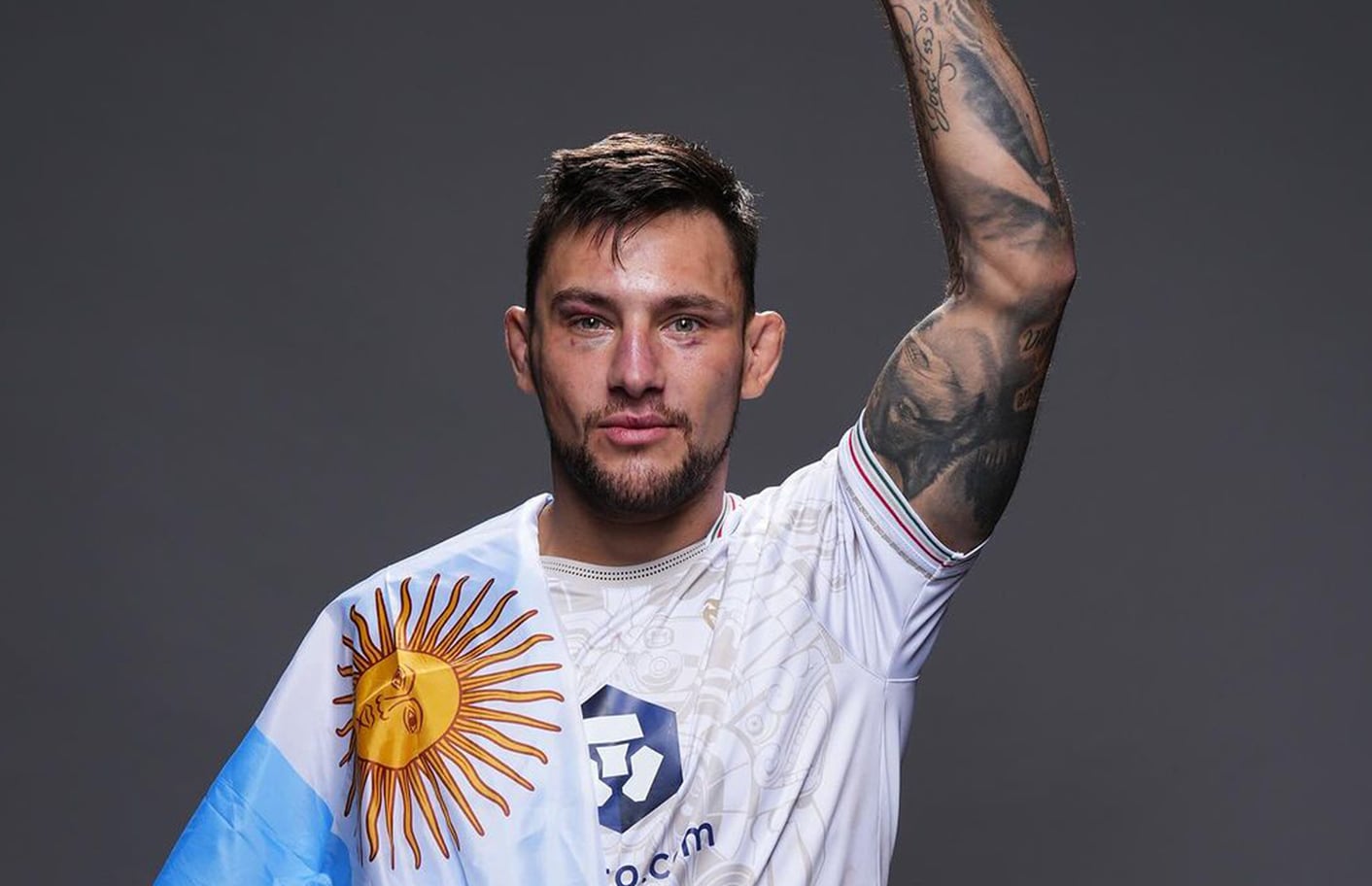 El camino de Ribovics en UFC