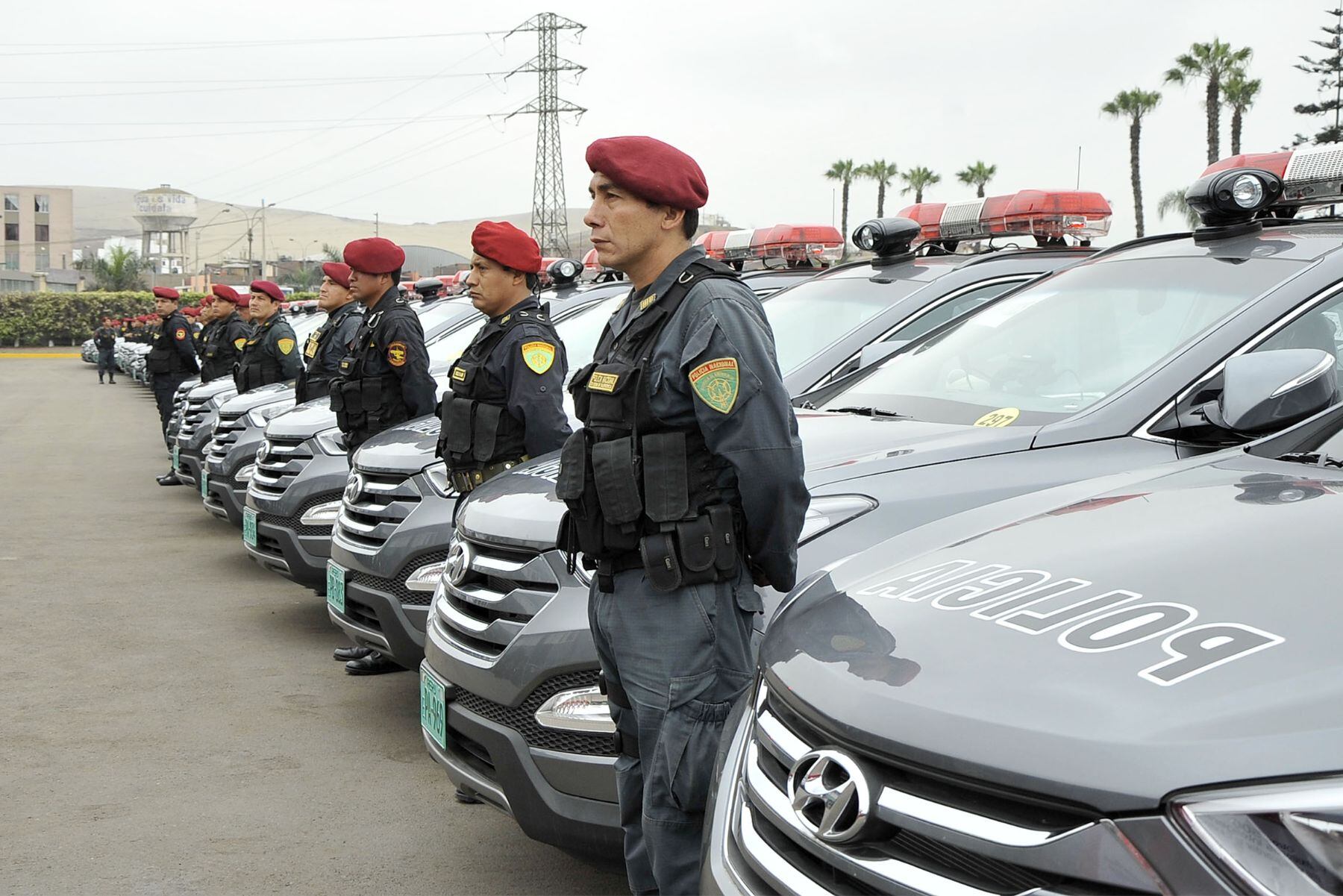 Especialista sugiere equipar y capacitar a los agentes policiales. (Foto referencial/ Andina)