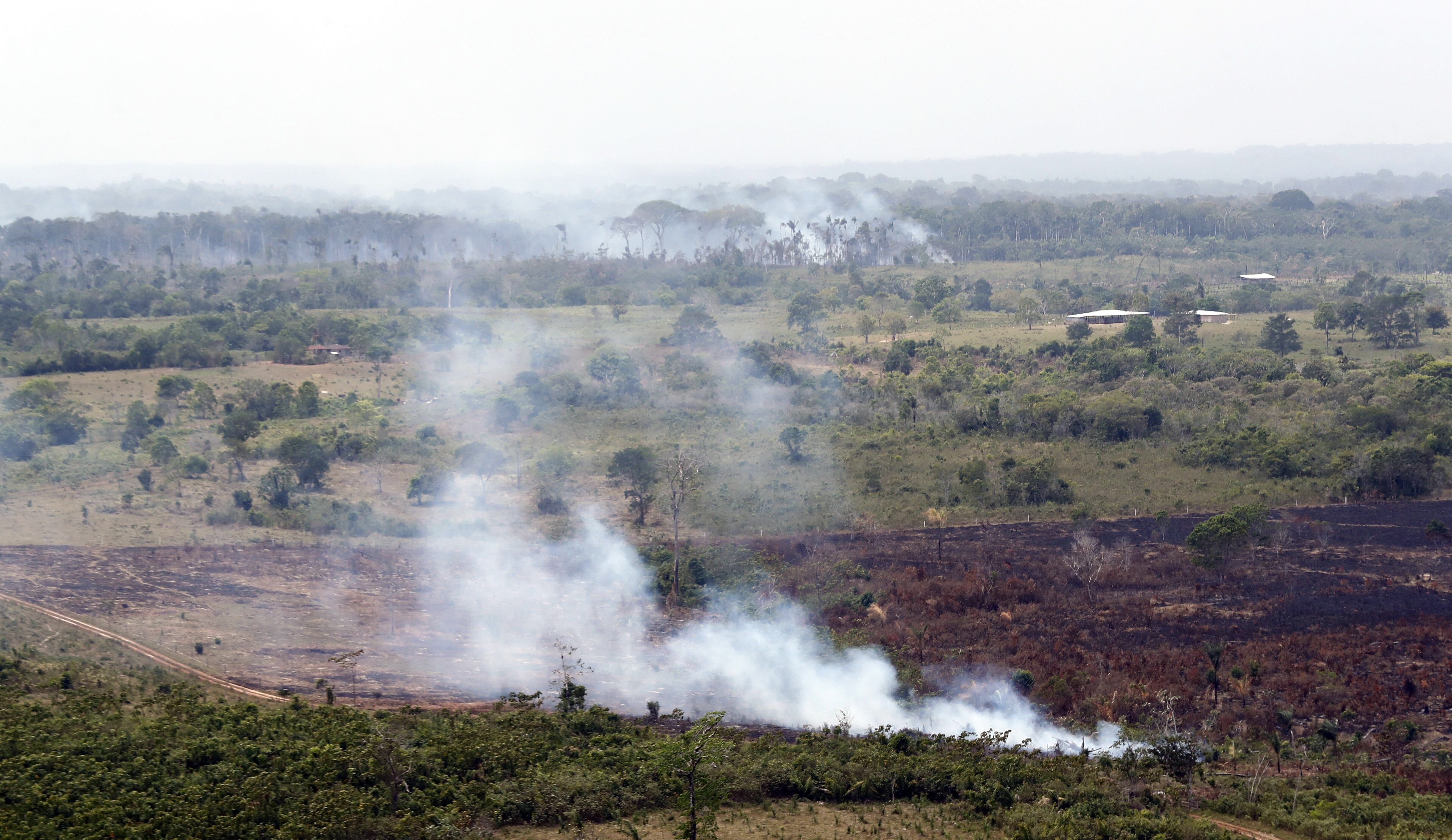 En Caloto, la alcaldía ha iniciado diálogos urgentes para proteger los bosques locales, esenciales para la biodiversidad y el suministro de agua - crédito Mauricio Dueñas Castañeda / EFE 