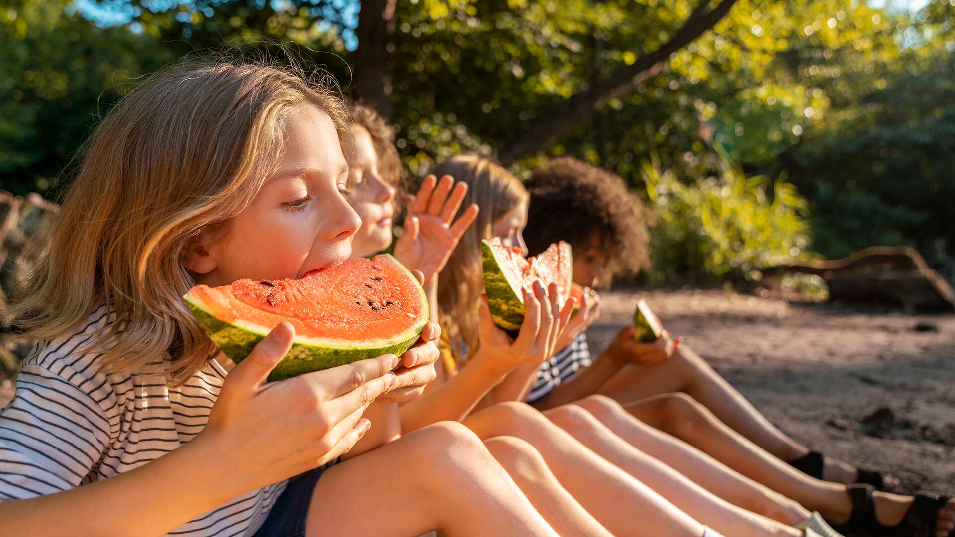 Comer alimentacion saludable verano