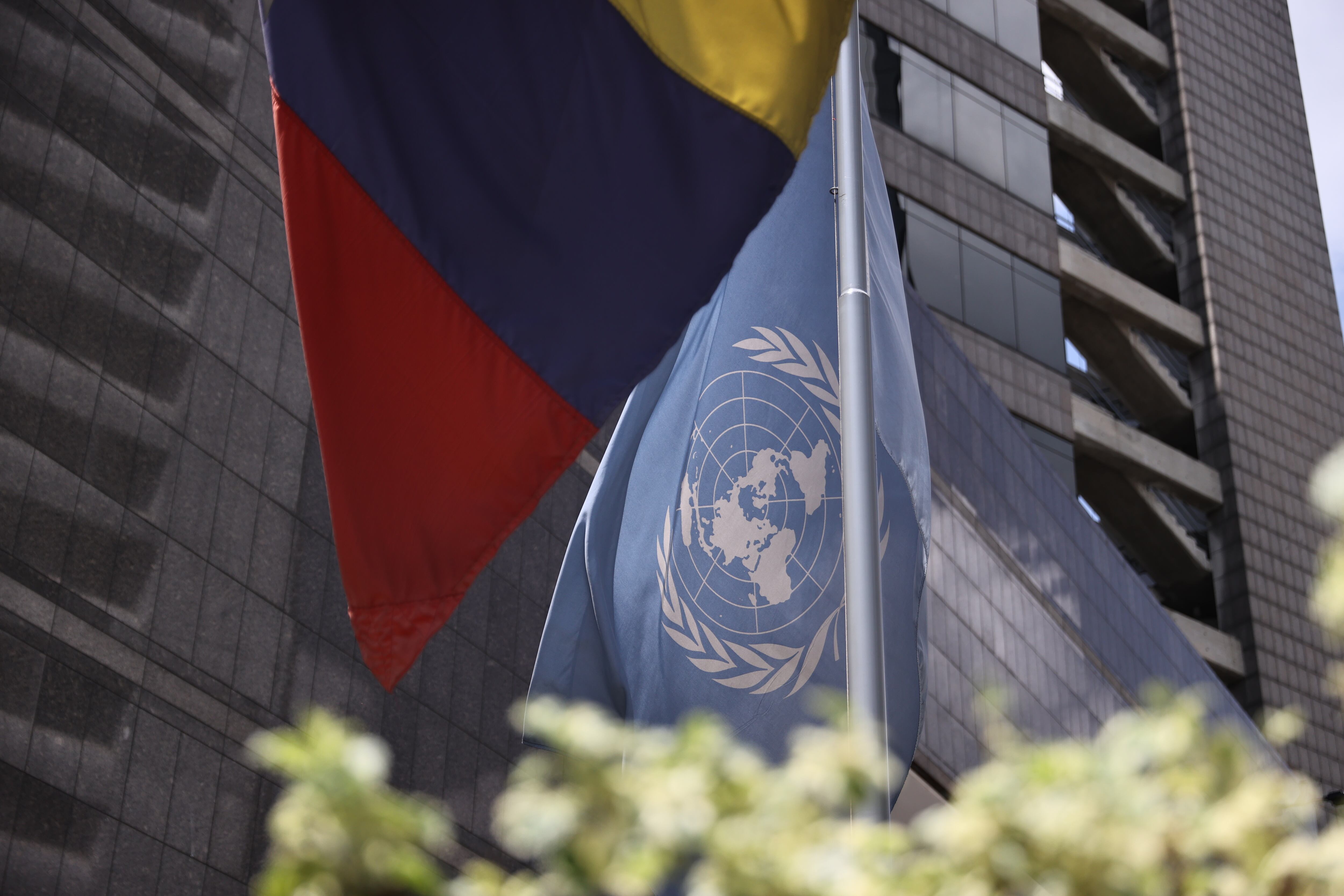 La inscripción se realiza en línea a través del portal oficial de empleo de la ONU - crédito Miguel Gutiérrez/ EFE
