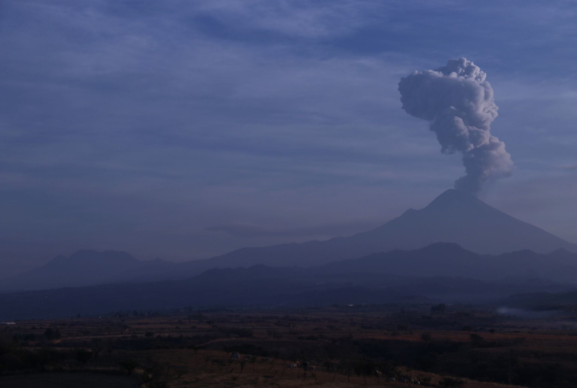 Popocatépetl registró 41 exhalaciones en las últimas 24 horas