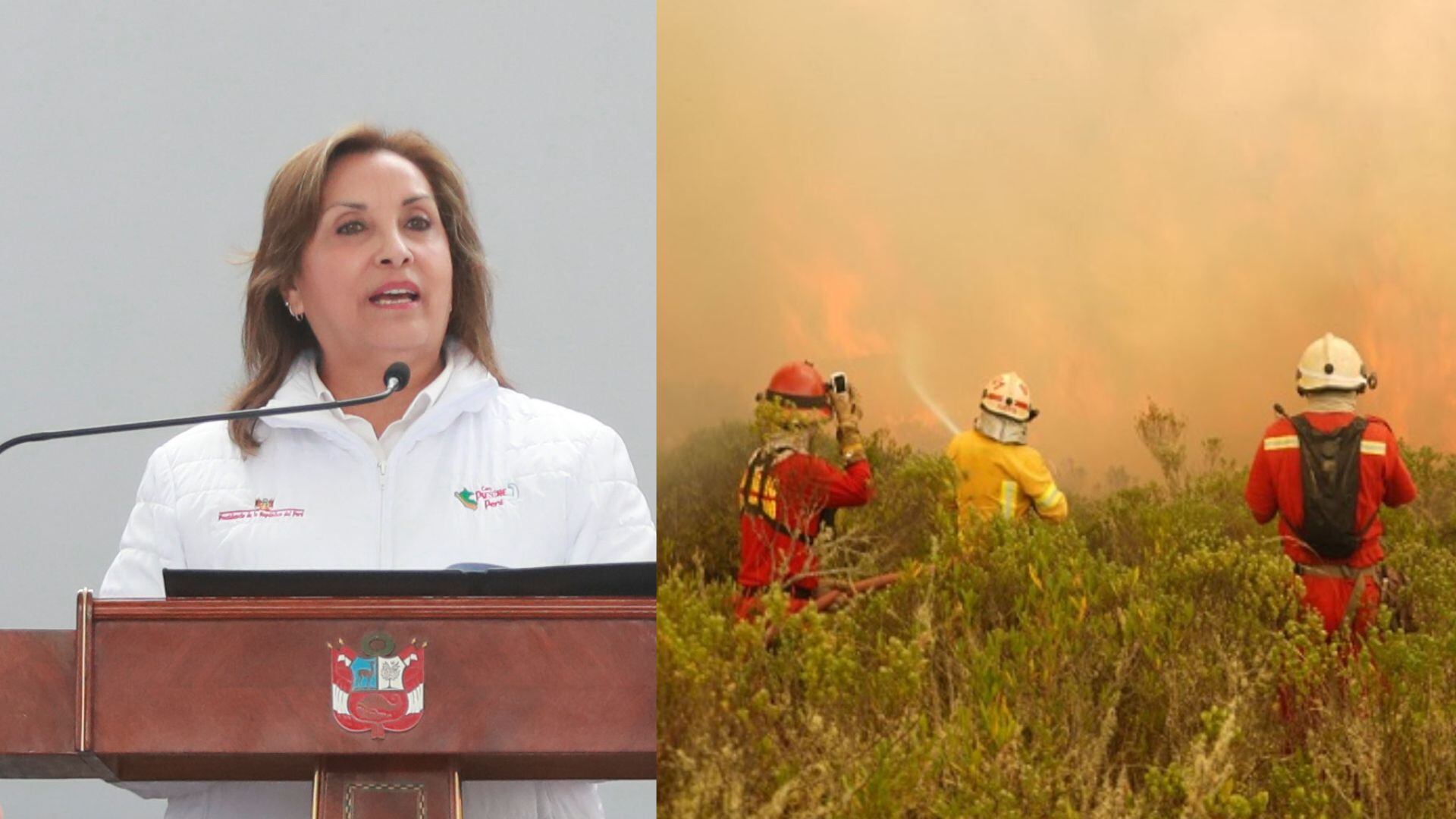 Dina Boluarte cuestiona a sus críticos ante incendios forestales: "Fácil es escribir por las redes y siempre quejarse"