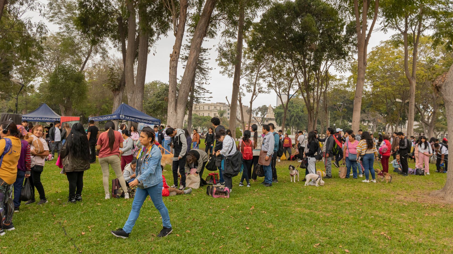 Patatón 2024: evento benéfico para animales abandonados se realizará este domingo 7 de julio| MML