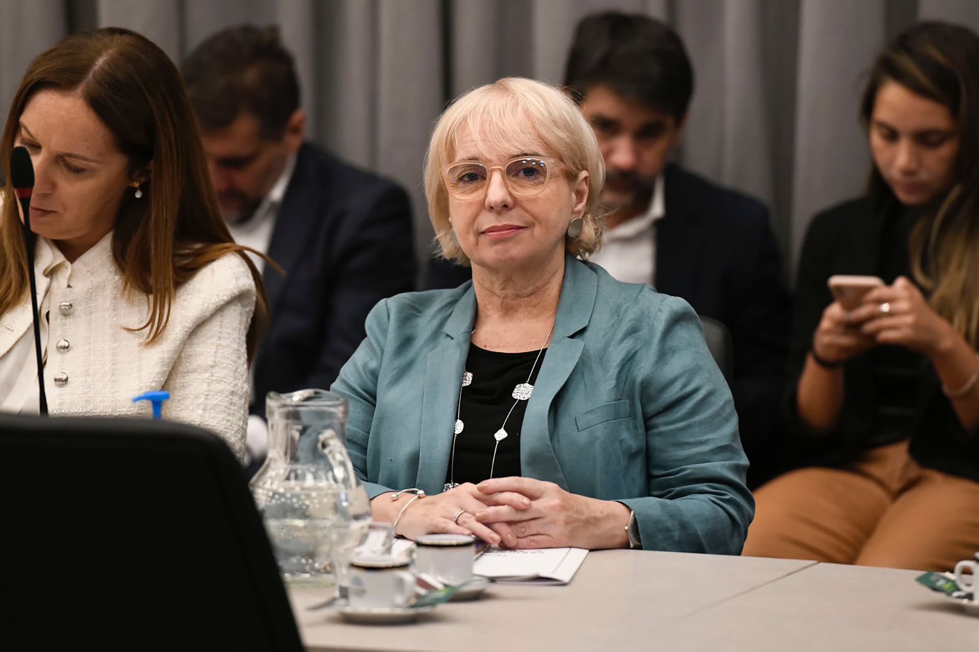 Silvana Giudici PRO en Diputados