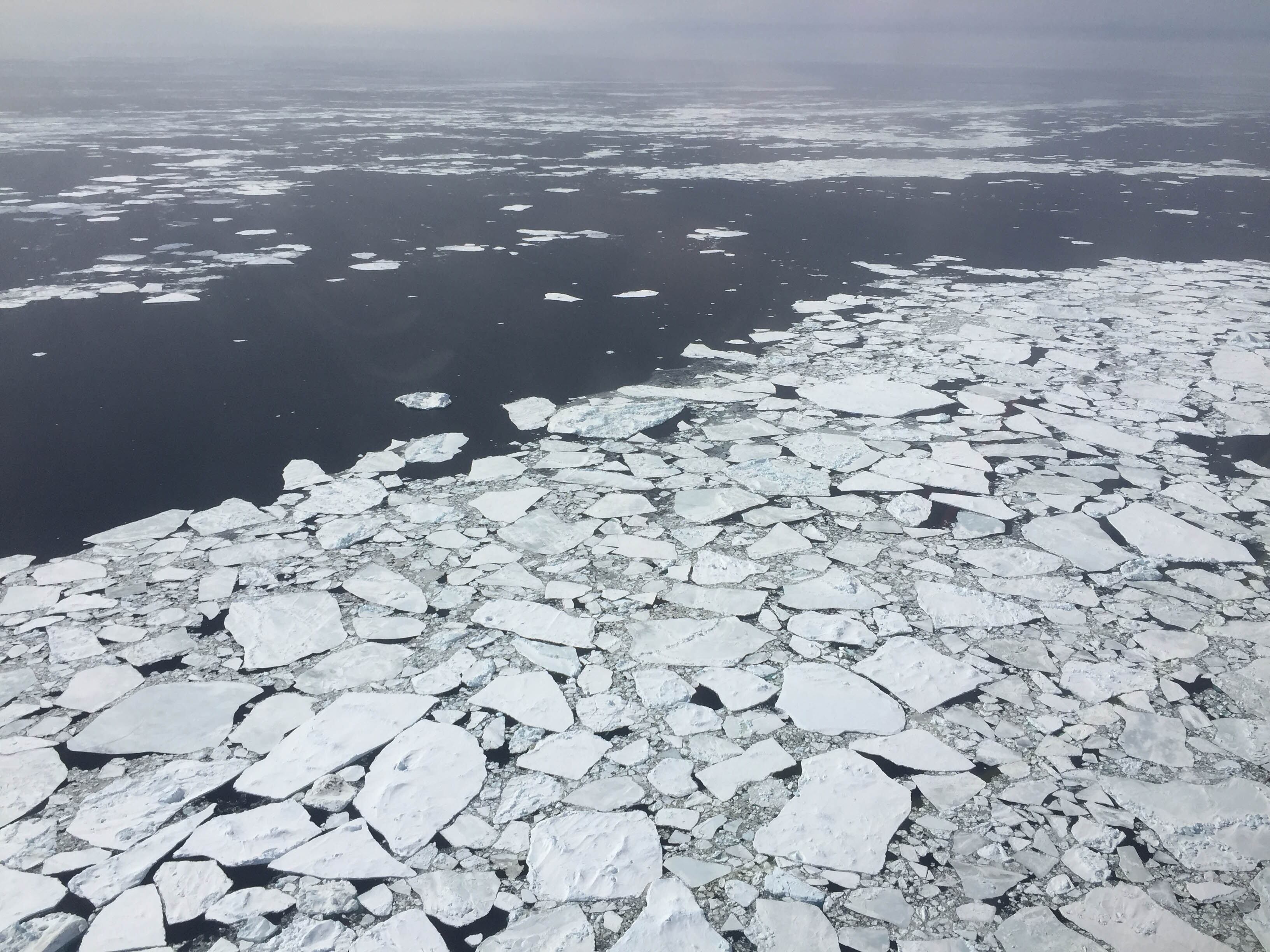 Para el año 2100, el Grupo Intergubernamental de Expertos sobre el Cambio Climático estimó que el calentamiento global obligará a las ciudades costeras a hacer frente a una subida del nivel del mar de un metro/ NASA/NATHAN KURZ 