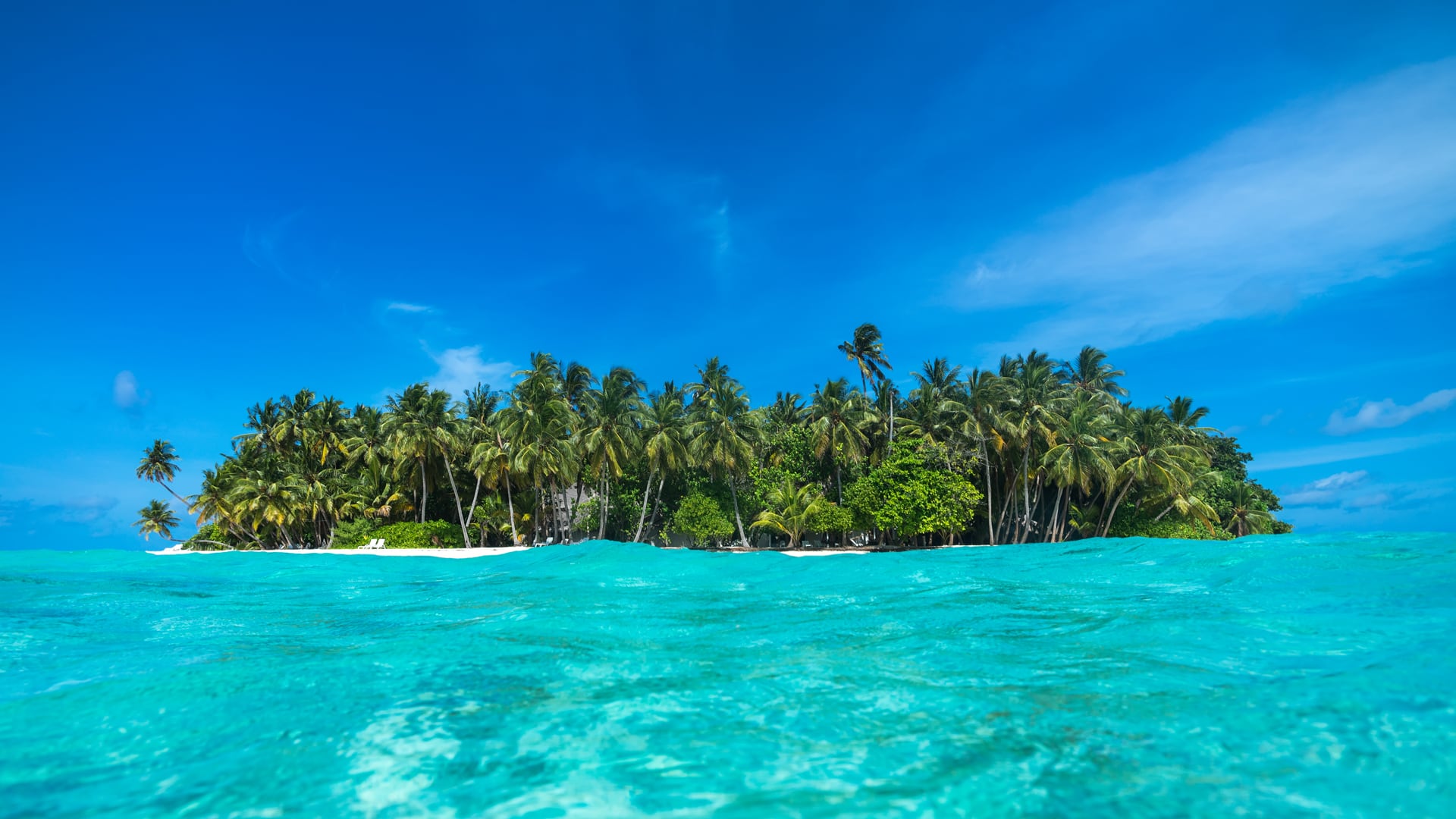 Isla paradisíaca.  (iStock)