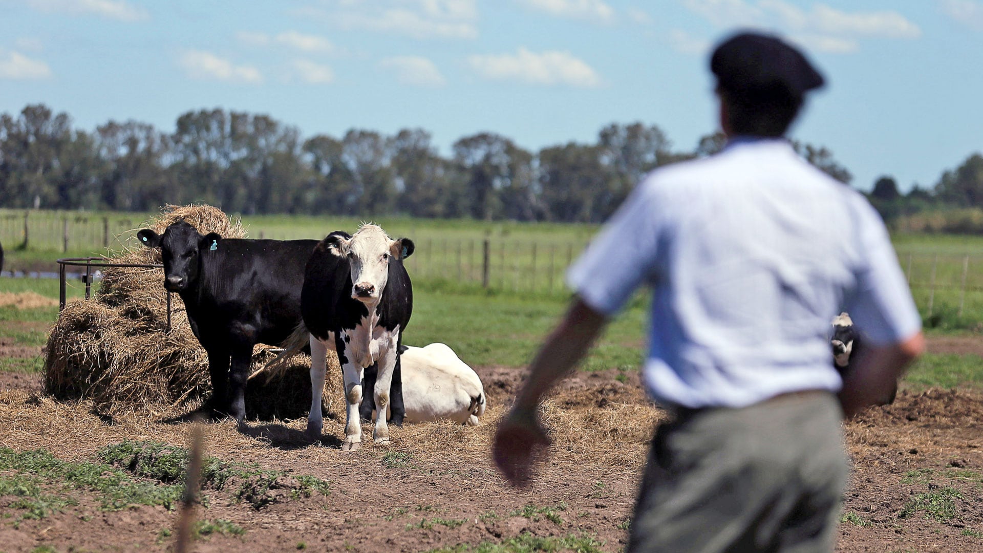 Las medidas tienen como objetivo el fortalecimiento del campo (Reuters)