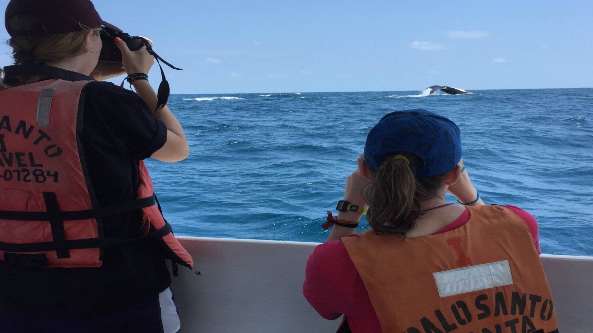 Avistamiento de ballenas en Puerto López. (Whale Expeditions)