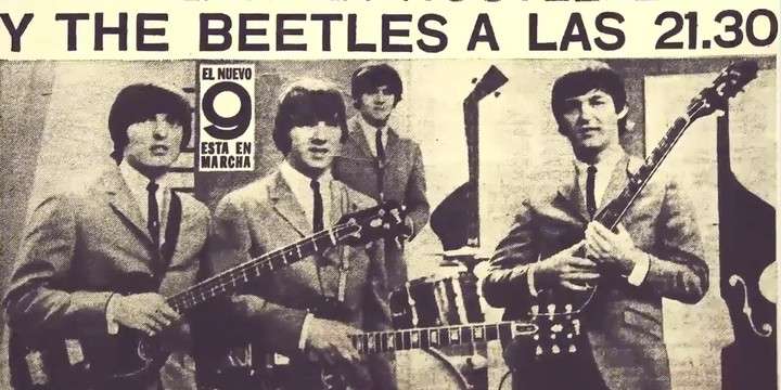 The American Beetles