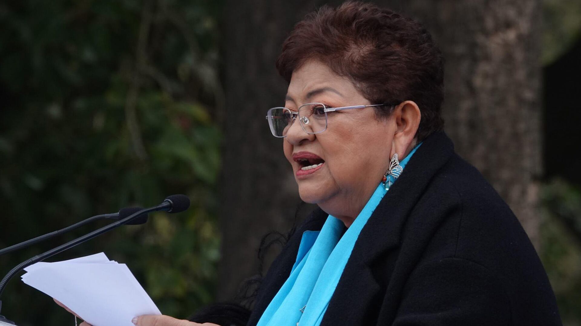 Ernestina Godoy, FGJCDMX