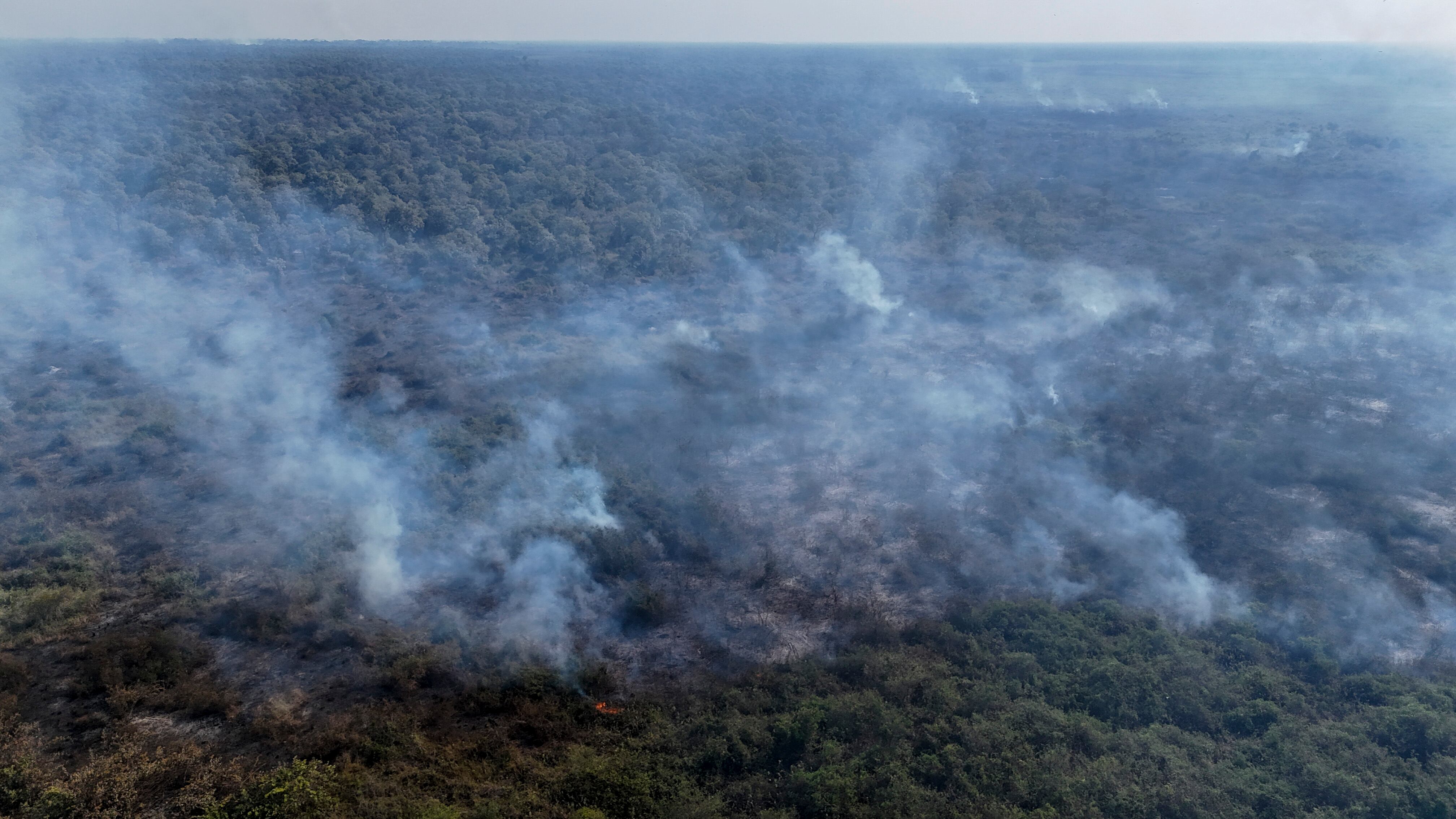 Los gobernadores amazónicos pese a no estar del lado ideológico de Petro, se alinean con sus ideas ambientales - crédito Sebastião Moreira/EFE
