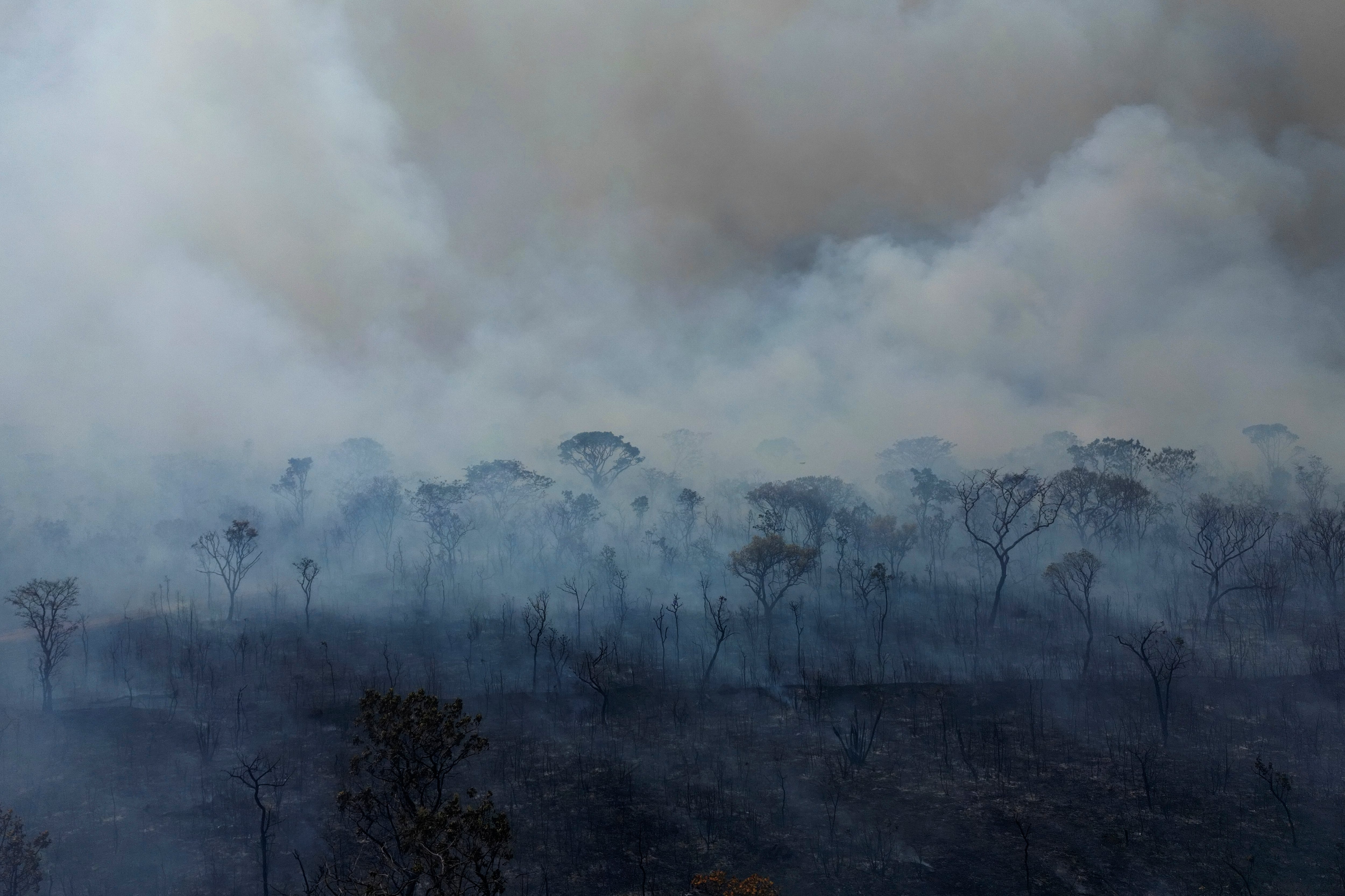 incendios en brasil