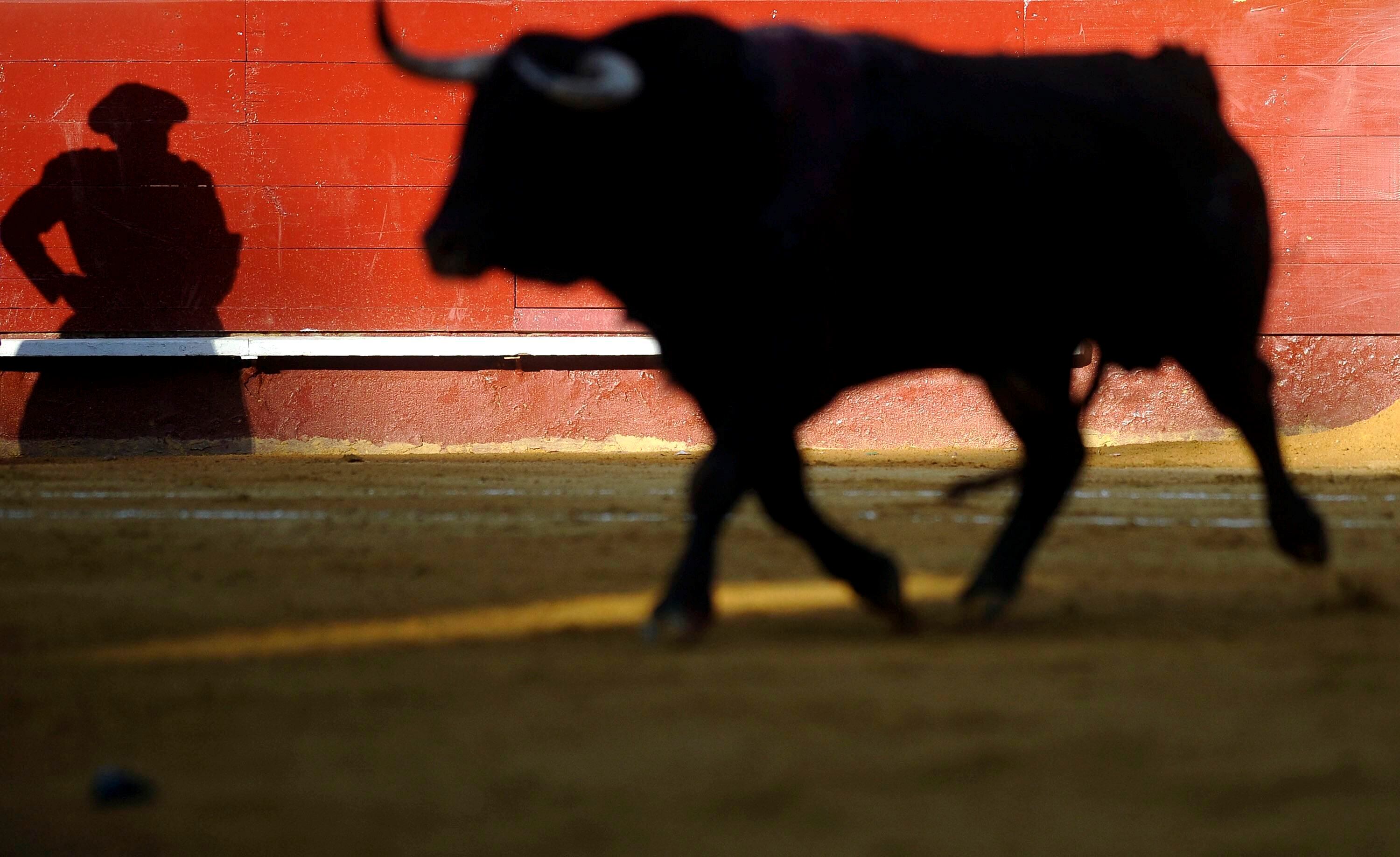 Toro en una corrida. EFE/Kai Försterling/Archivo
