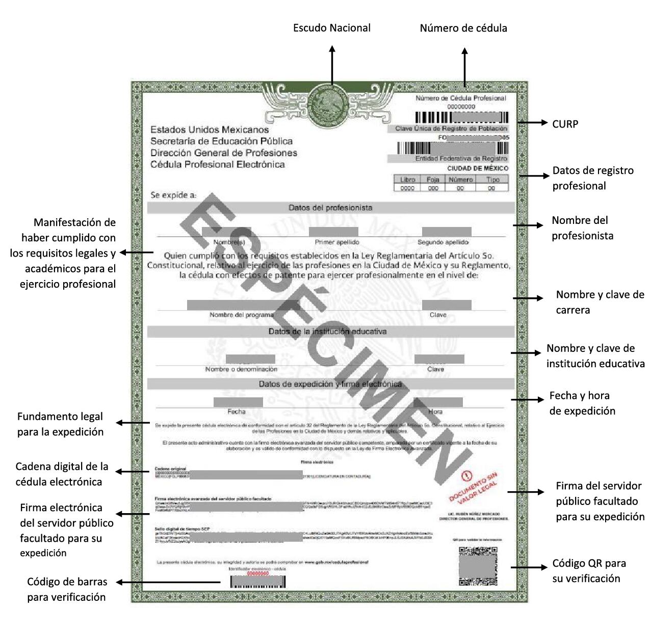 Actualmente, la cédula profesional puede tramitarse de manera digital, facilitando el proceso para los nuevos y antiguos profesionistas. / Archivo Infobae 