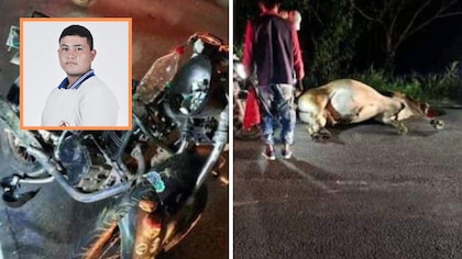 Joven motociclista de 16 años murió luego de estrellarse con una vaca: testigos sacaron cuchillos y se llevaron la carne de la res