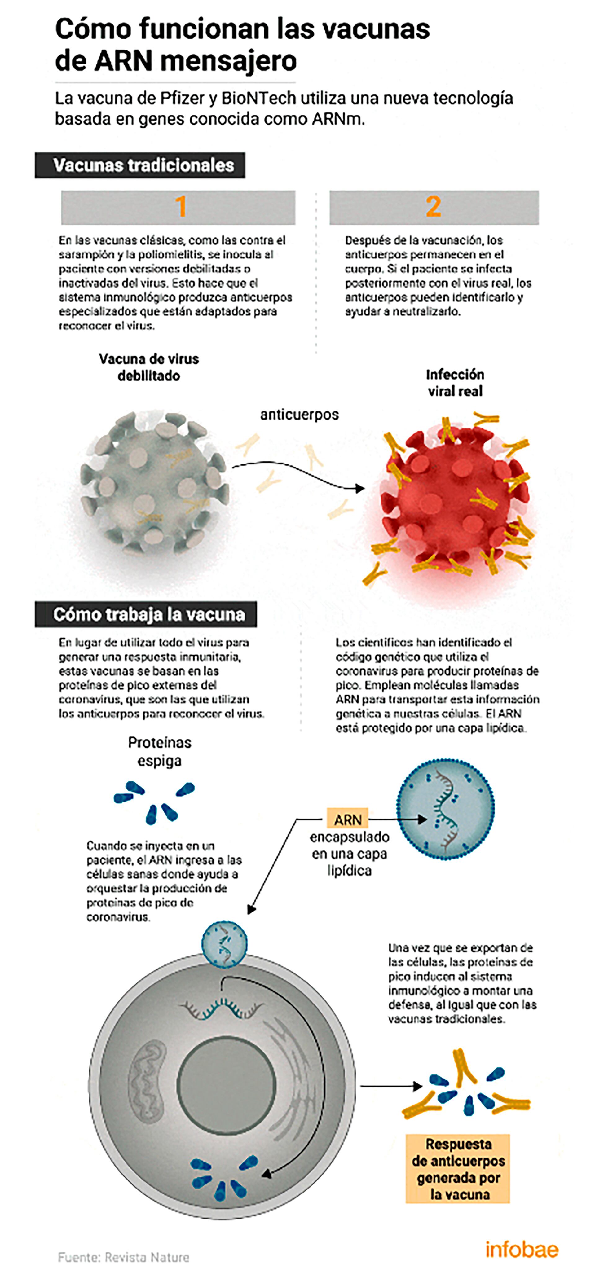 Cómo funciona la vacuna ARN Mensajeros de Pfizer