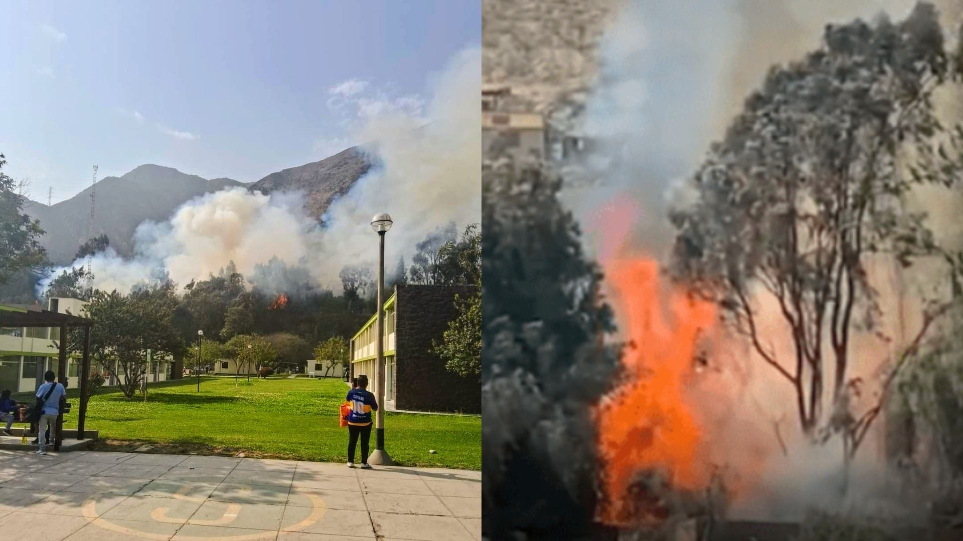 Incendio forestal soprende a vecinos de Chaclacayo.