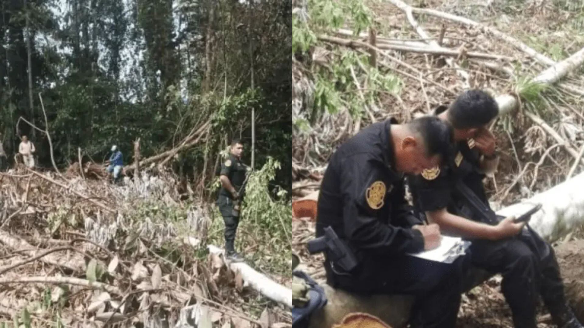 Área de conservación en San Martín es atacada por extraños.