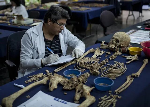 Adentrándonos en la majestuosidad de las alturas andinas y las profundidades de la selva amazónica, exploramos la invaluable contribución de los antropólogos al Perú de hoy.
Foto: Crisol