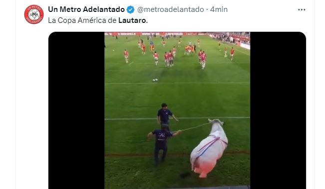 memes argentina colombia bicampeón copa américa